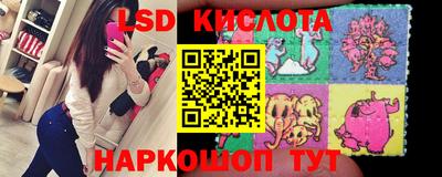 spice Сланцы