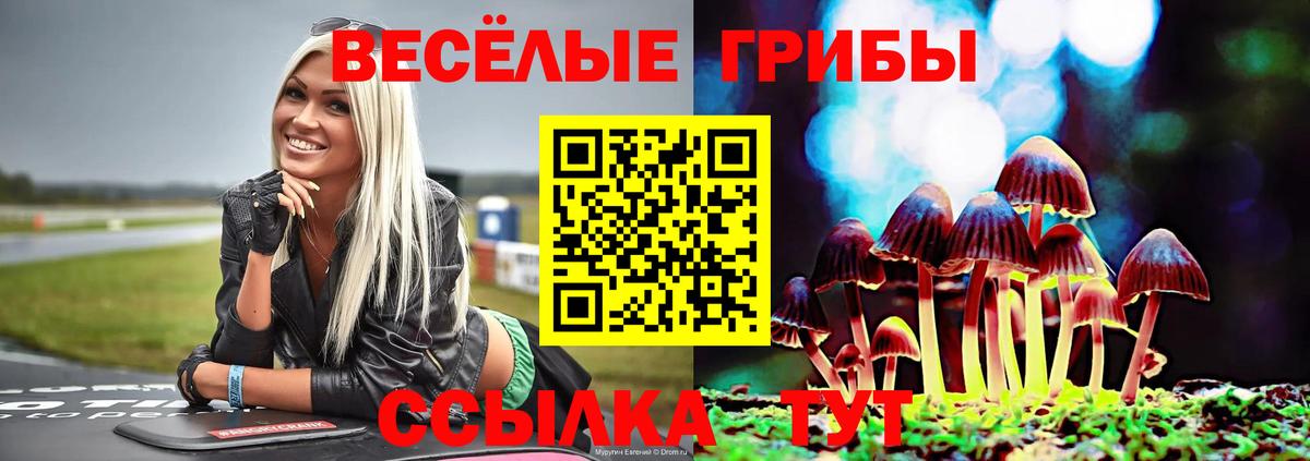 Псилоцибиновые грибы прущие грибы  Вход с VPN  Соль-Илецк 